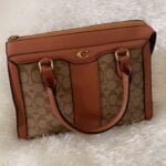 Ladies fashion bag