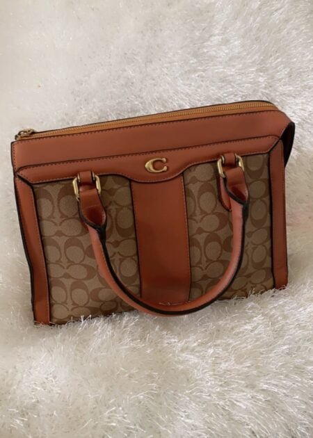 Ladies fashion bag
